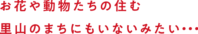 お花や動物たちの住む里山のまちにもいないみたい・・・