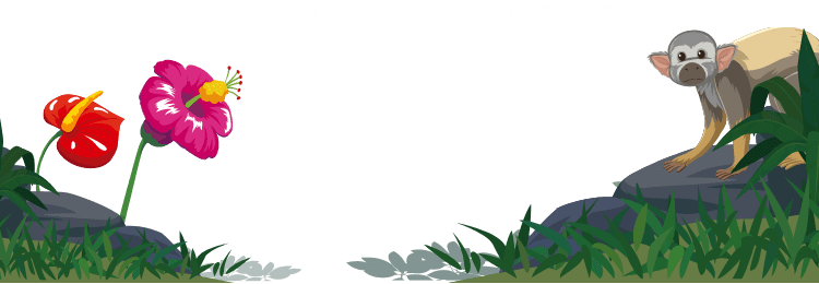 copyright© unimo all rights reserved.