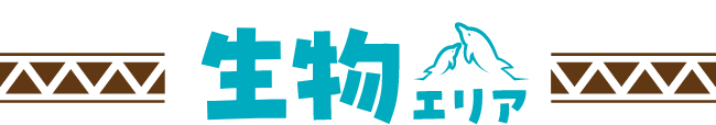 生物エリア