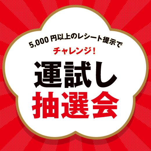 新春運試し抽選会