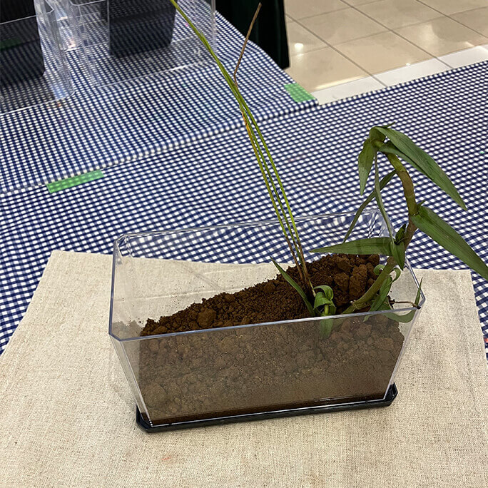 6月