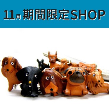 11月期間限定SHOP