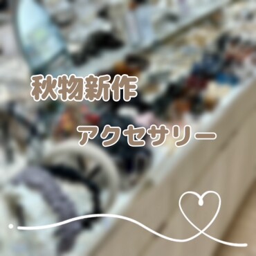 秋物新作アクセサリー🍁✨