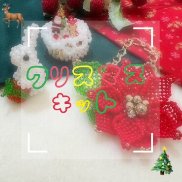 🎄クリスマスキットのご紹介🎄