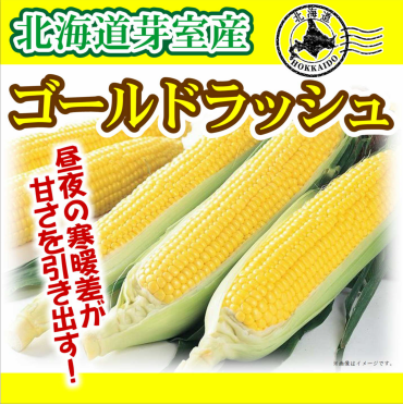 当店今季最終入荷！とうもろこし🌽『ゴールドラッシュ』！
