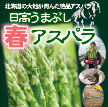 北海道直送「グリーンアスパラ」今季初入荷！
