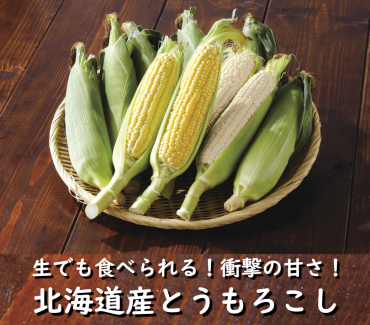 北海道直送「とうもろこし」入荷情報！