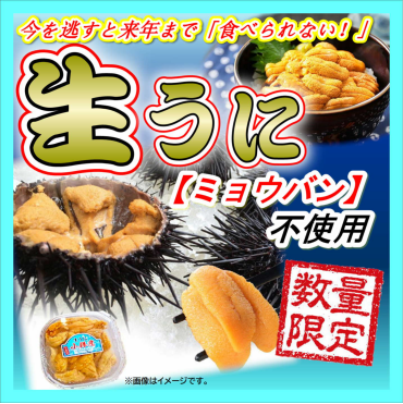 『生うに』解禁！！