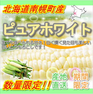 とうもろこし入荷情報！