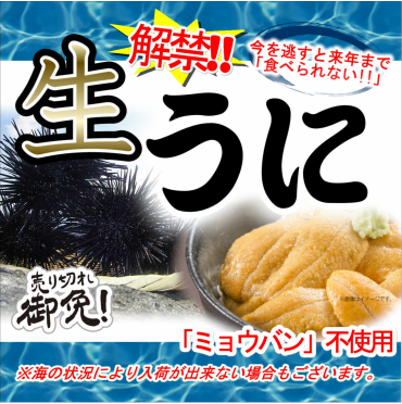 『生うに』入荷情報！！