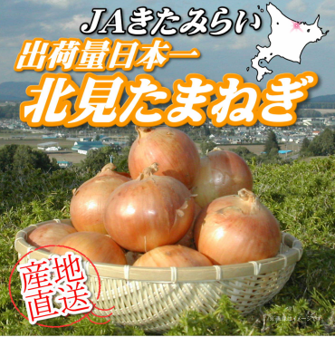 出荷量日本一『北見たまねぎ』入荷！