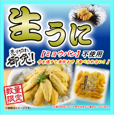 『生うに』入荷情報！！