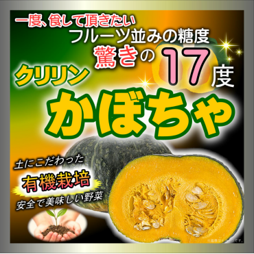 今季初入荷　糖度『17度』 クリリンかぼちゃ入荷！