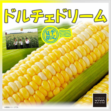 入荷情報！『ドルチェドリーム』大好評再入荷！