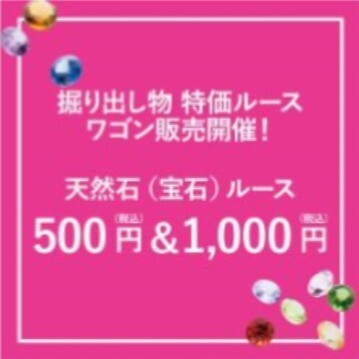 【期間限定】ミネラルルース ワゴン市 開催