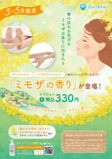 春限定🌼ミモザの香り🌼