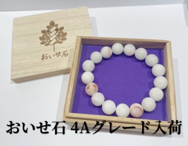 おいせ石入荷🪨✨