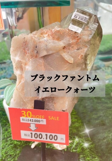 大創業祭開催中‼️