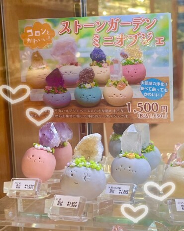 ストーンガーデンミニオブジェ🪴✨