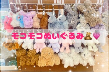 モコモコぬいぐるみ入荷🧸💞