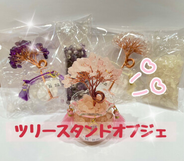 新作浄化アイテム入荷🪴✨✨