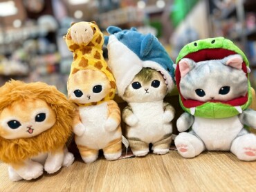モフサンドおすすめ商品🐈