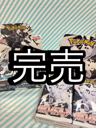 🌟完売🌟