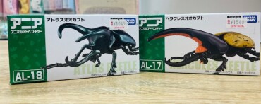 アニア！入荷します！