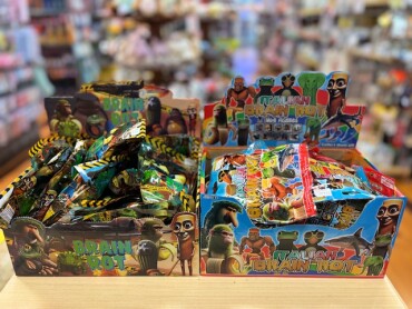 🌳BRAIN ROT入荷🌱‬‪