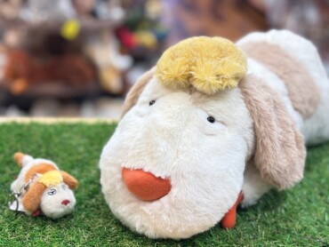 待望の入荷！！ヒン🐶
