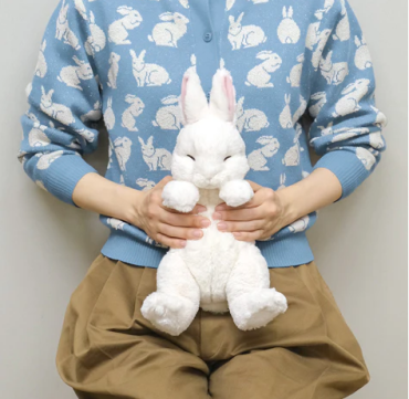ひざうさぎすやすや