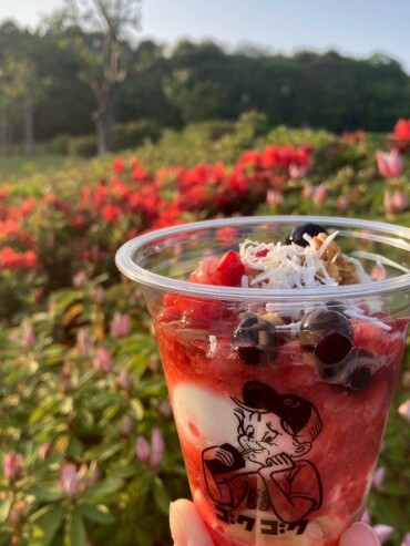 新作！グリークヨーグルト🍓🫐🥥🍯