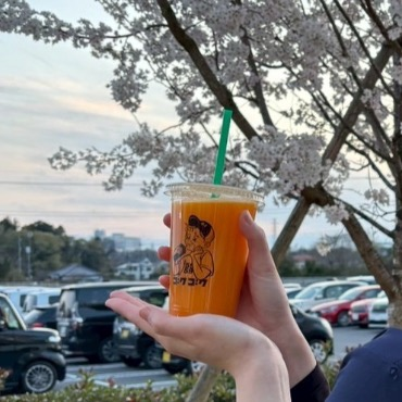 🌸と共に映える⭐︎スタッフ賄い集📸