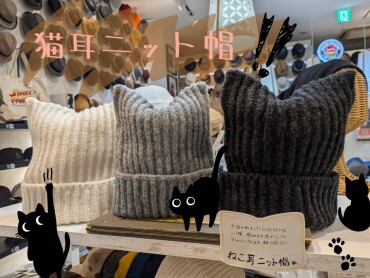 猫耳ニット帽入荷