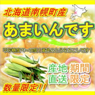 夏の大本命！北海道「とうもろこし」入荷！