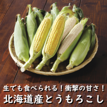 北海道直送「とうもろこし」入荷情報！