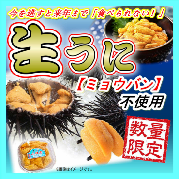 『生うに』解禁！！