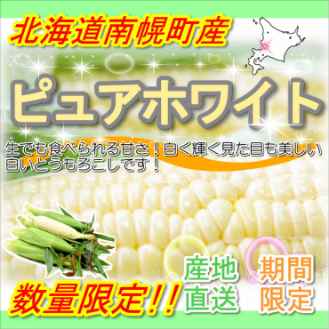 とうもろこし入荷情報！