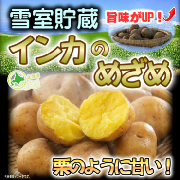 雪室で旨みＵＰ↑『インカのめざめ』
