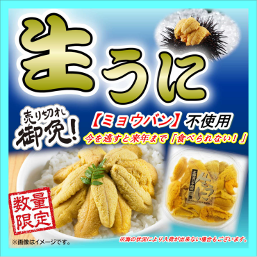 『生うに』入荷情報！！