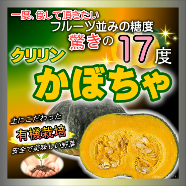 今季初入荷　糖度『17度』 クリリンかぼちゃ入荷！