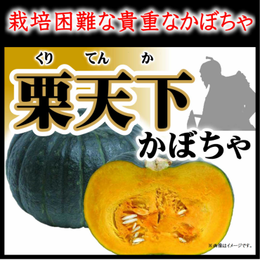 栽培困難な貴重『かぼちゃ』栗天下入荷！
