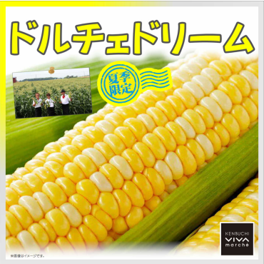 入荷情報！『ドルチェドリーム』・『ホイップコーン』大好評再入荷！