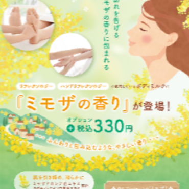春限定🌼ミモザの香り🌼