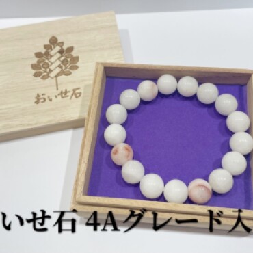 おいせ石入荷🪨✨