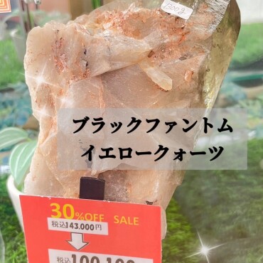 大創業祭開催中‼️