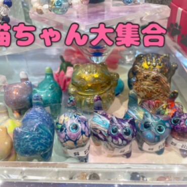 猫ちゃんアイテム入荷情報🐈💕