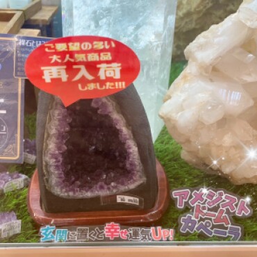 アメジストドームカペーラ🔮✨✨✨