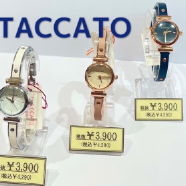 韓国ブランド時計『STACCAT』✨✨