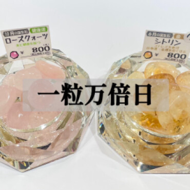 ✨✨一粒万倍日✨✨